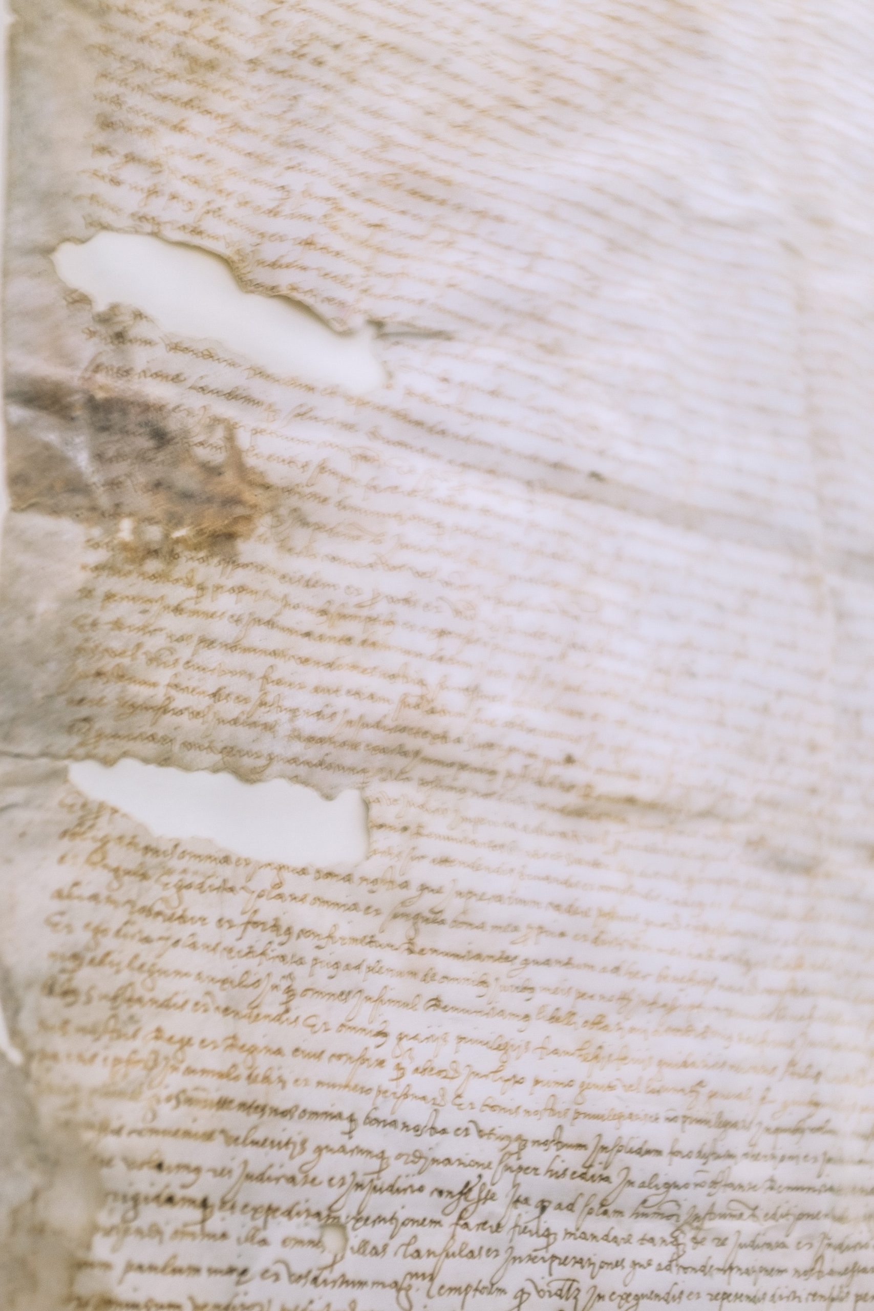 Manuscrito. Texto-medieval